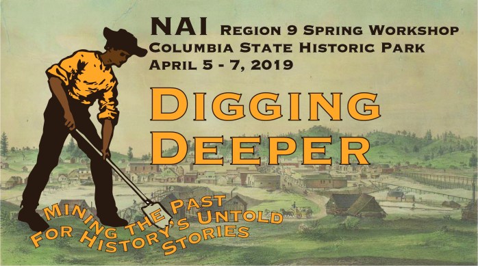 NAI R9 logo w litho background